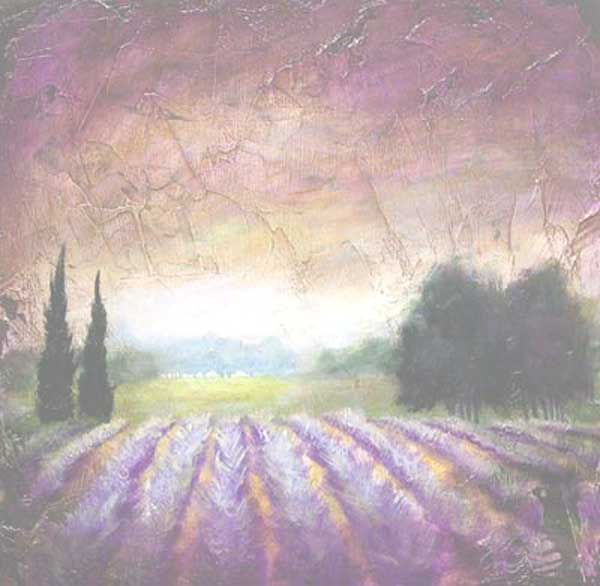 Heather on the Field at Dawn